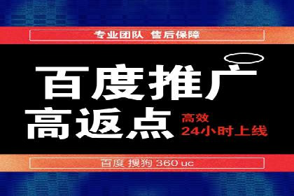 案例解析：如何通过推广竞价提升品牌知名度